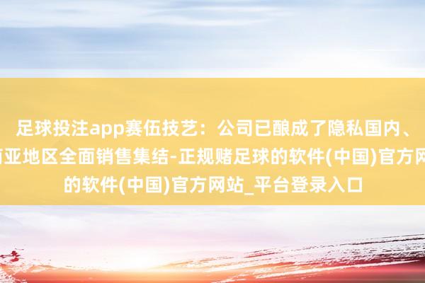 足球投注app赛伍技艺：公司已酿成了隐私国内、西洋、中东、东南亚地区全面销售集结-正规赌足球的软件(中国)官方网站_平台登录入口