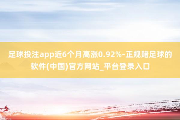 足球投注app近6个月高涨0.92%-正规赌足球的软件(中国)官方网站_平台登录入口