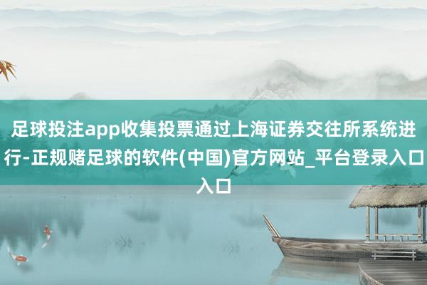 足球投注app收集投票通过上海证券交往所系统进行-正规赌足球的软件(中国)官方网站_平台登录入口