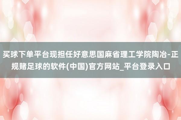 买球下单平台现担任好意思国麻省理工学院陶冶-正规赌足球的软件(中国)官方网站_平台登录入口