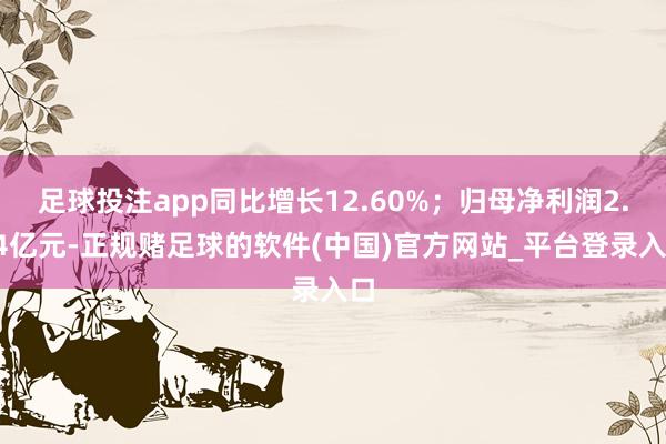 足球投注app同比增长12.60%；归母净利润2.64亿元-正规赌足球的软件(中国)官方网站_平台登录入口