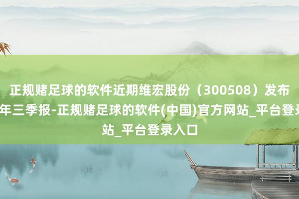 正规赌足球的软件近期维宏股份（300508）发布2024年三季报-正规赌足球的软件(中国)官方网站_平台登录入口