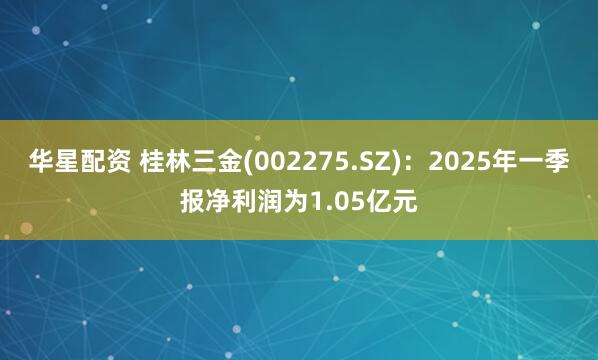 华星配资 桂林三金(002275.SZ)：2025年一季报净利润为1.05亿元